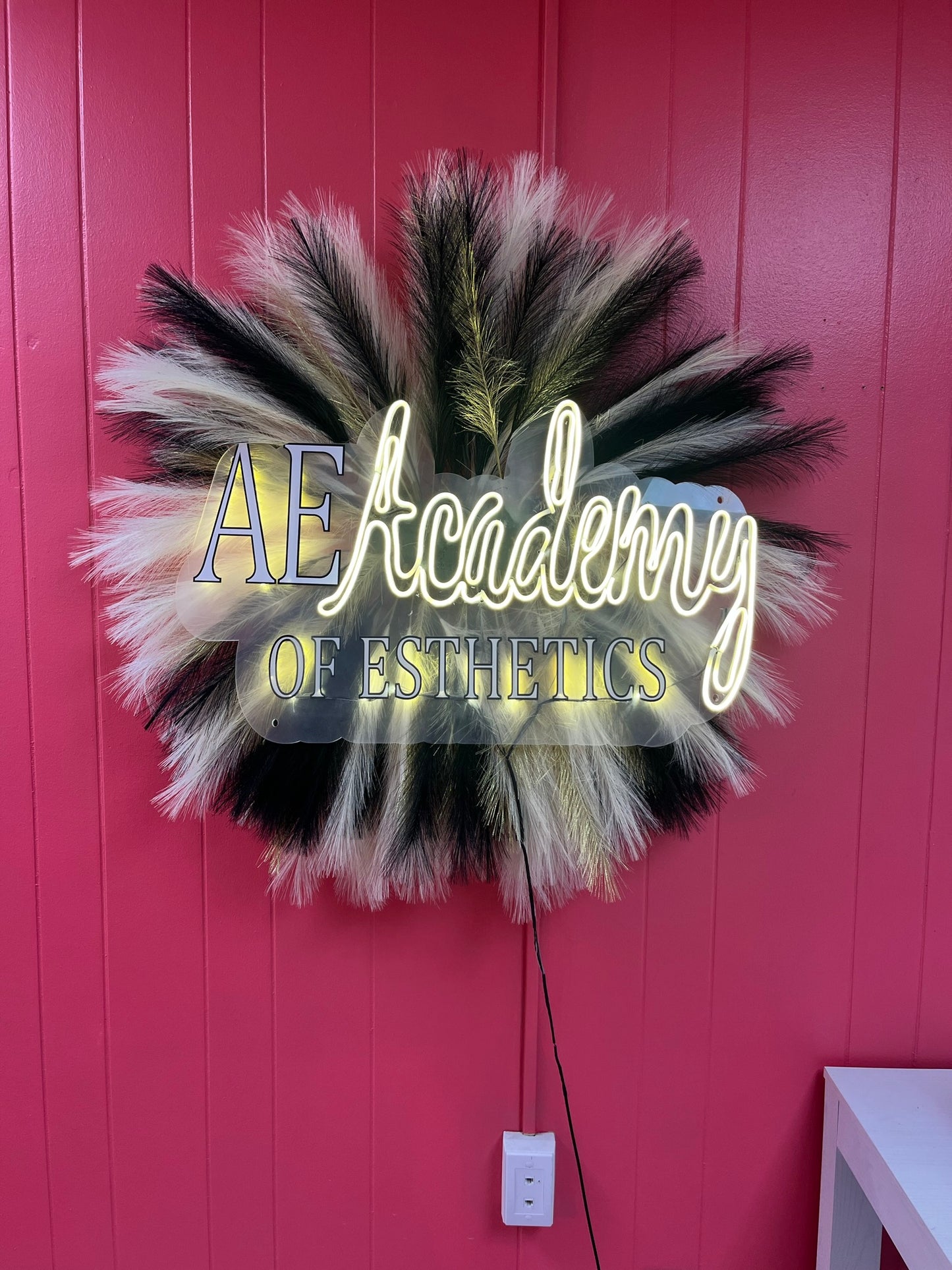 Custom 3D sign + Pampas Background (handmade)