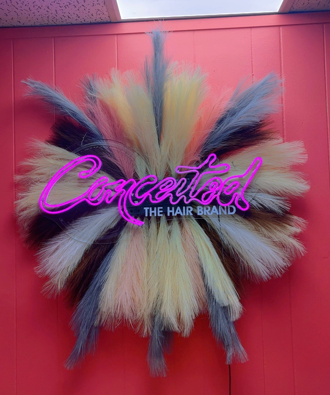Custom 3D sign + Pampas Background (handmade)